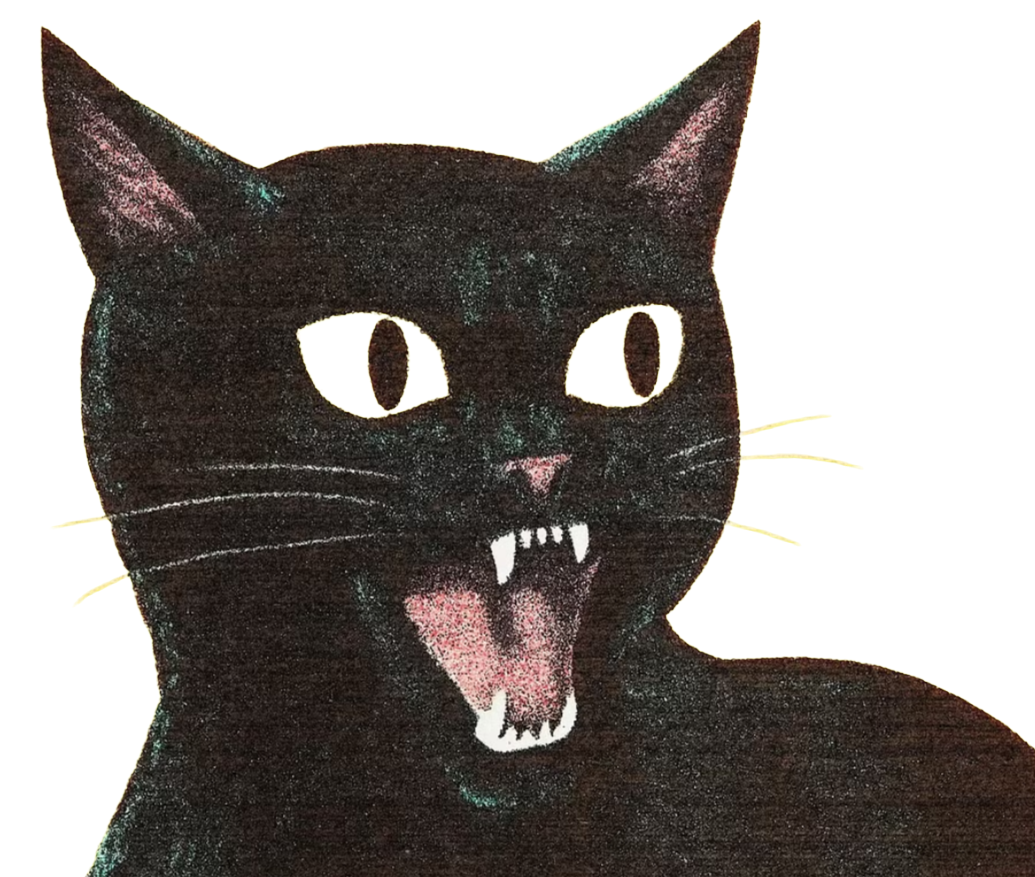 Third Image